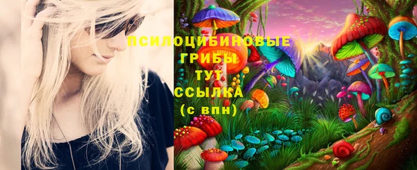 MDMA Premium VHQ Пролетарск