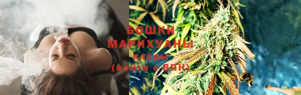молекула духа Ростов